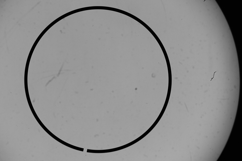 Optical measurement of the end gap between the ends of a piston ring
