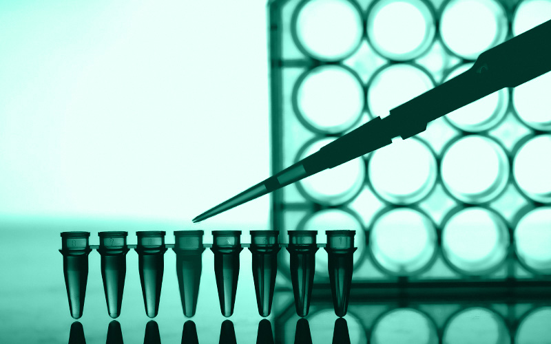 Pipette tip dispensing liquid into a PCR strip tube beside a microplate
